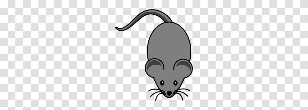 Dark Grey Lab Mouse Clip Arts For Web, Seed, Grain, Produce, Vegetable Transparent Png