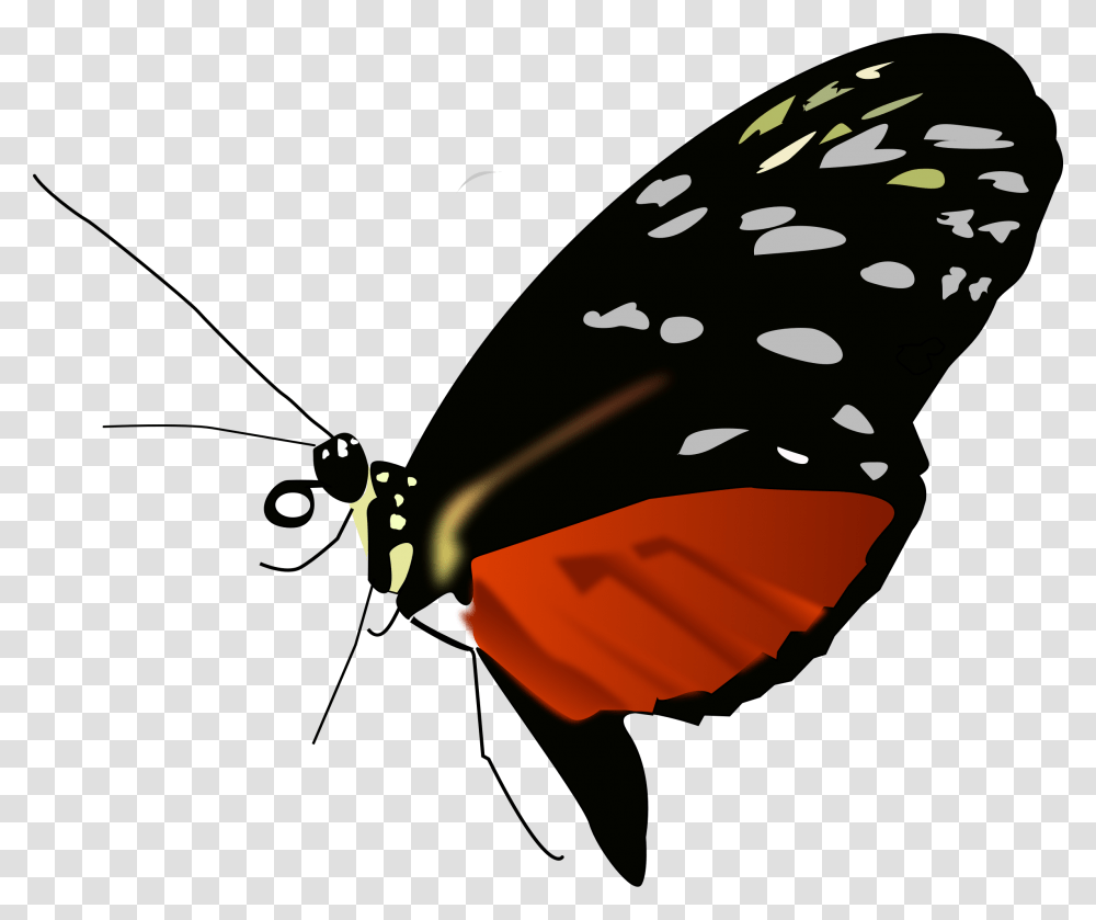 Dark Orange Black Butterfly Clip Arts Butterflies Red Orange And Black, Animal, Insect, Invertebrate, Food Transparent Png