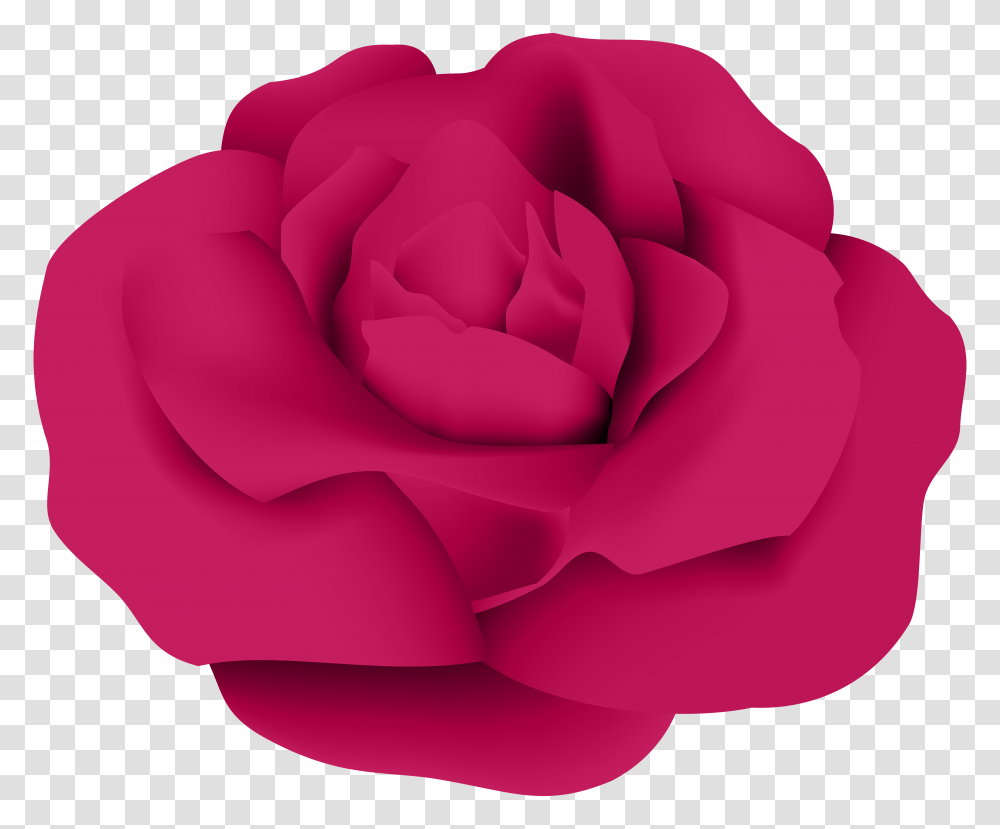 Dark Pink Rose Clip, Plant, Flower, Blossom, Petal Transparent Png