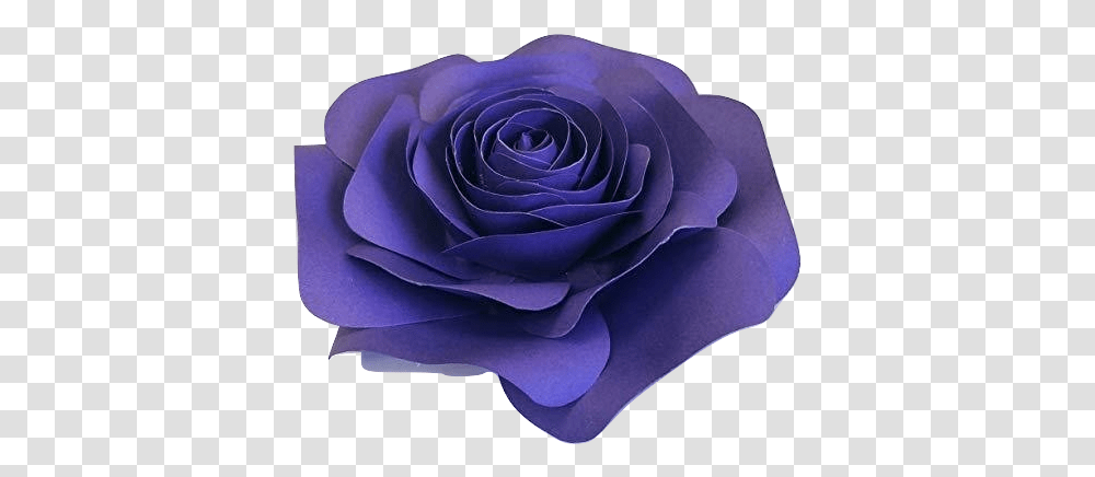 Dark Purple Paper Rose No Sell Garden Roses, Flower, Plant, Blossom Transparent Png