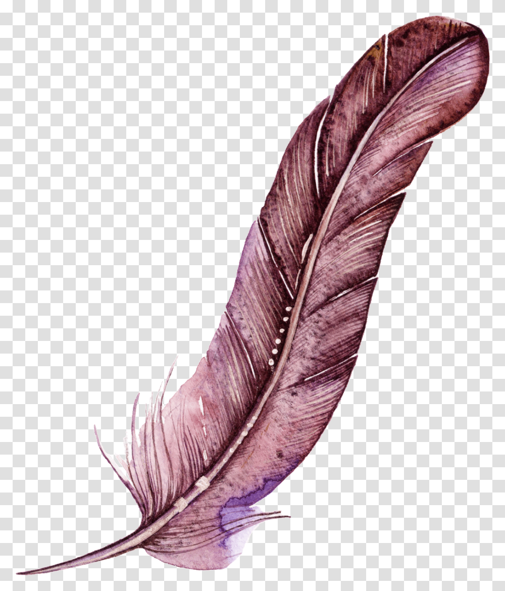 Dark Red Feather Cartoon Watercolor Beautiful Watercolor Feather, Bottle, Ink Bottle, Leaf Transparent Png