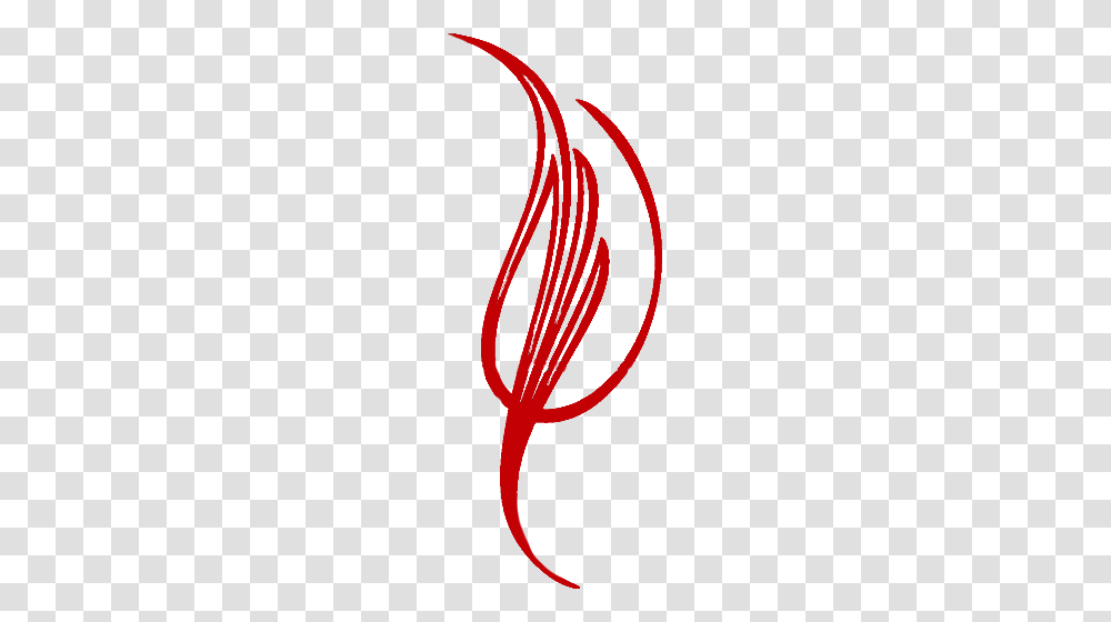 Dark Red Pinstripe, Plant, Tree Transparent Png