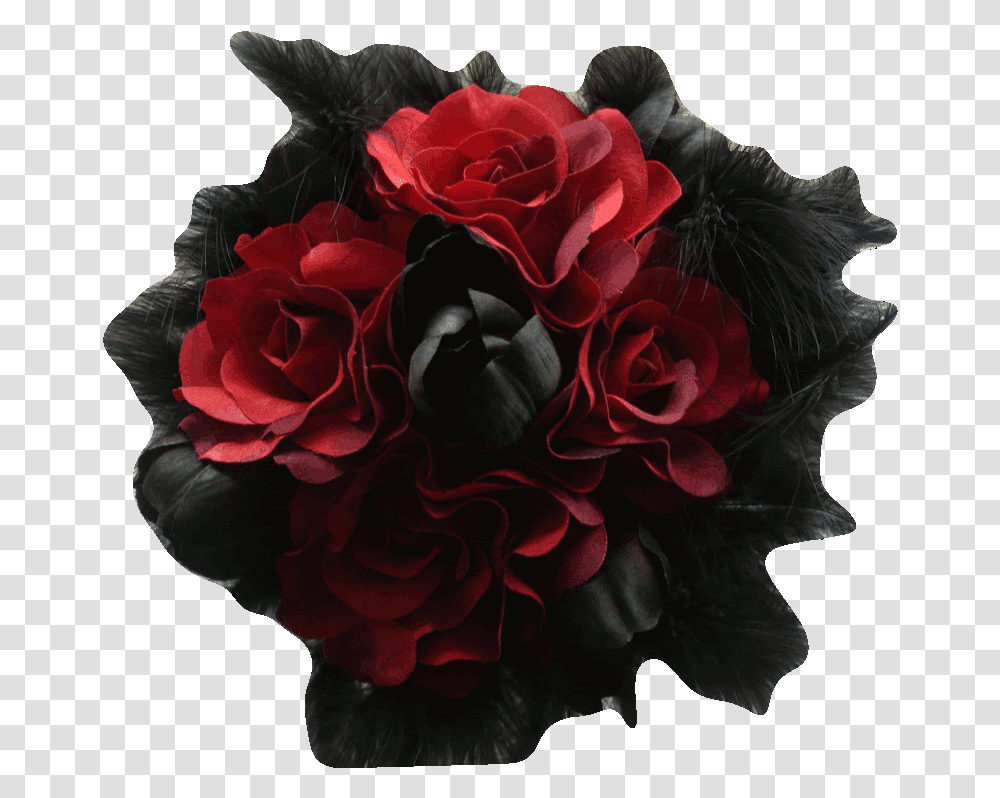 Dark Red Rose, Plant, Flower, Blossom, Dahlia Transparent Png