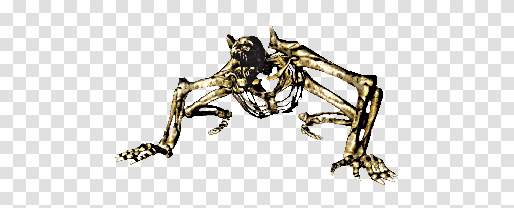Dark Souls Skeleton Beast, Spider, Invertebrate, Animal, Arachnid Transparent Png