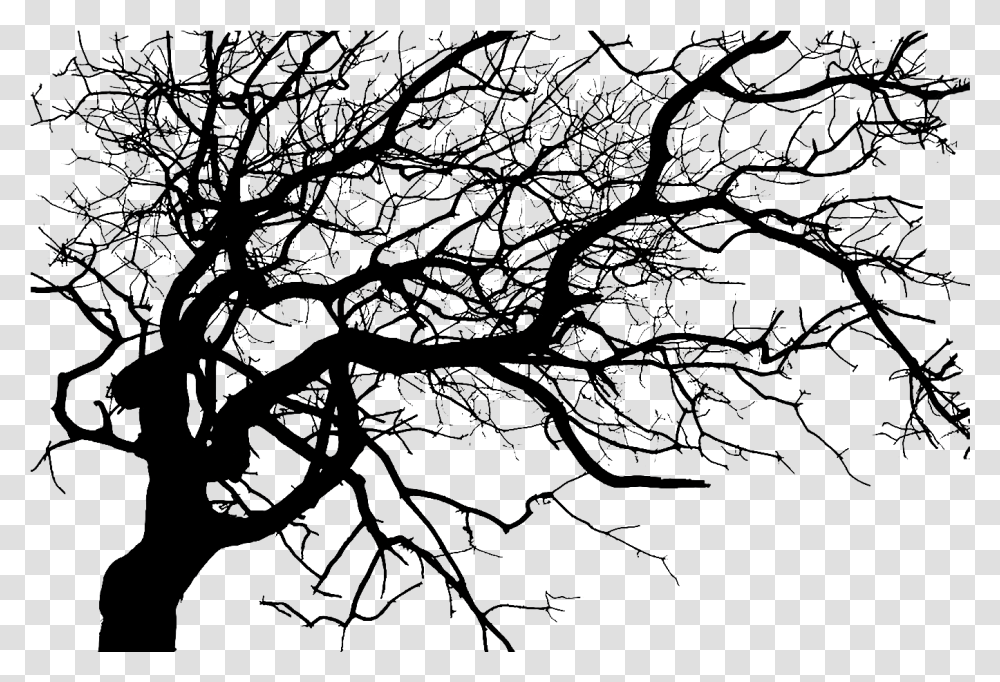 Dark Tree Spooky Tree Silhouette, Nature, Outdoors, Outer Space, Astronomy Transparent Png