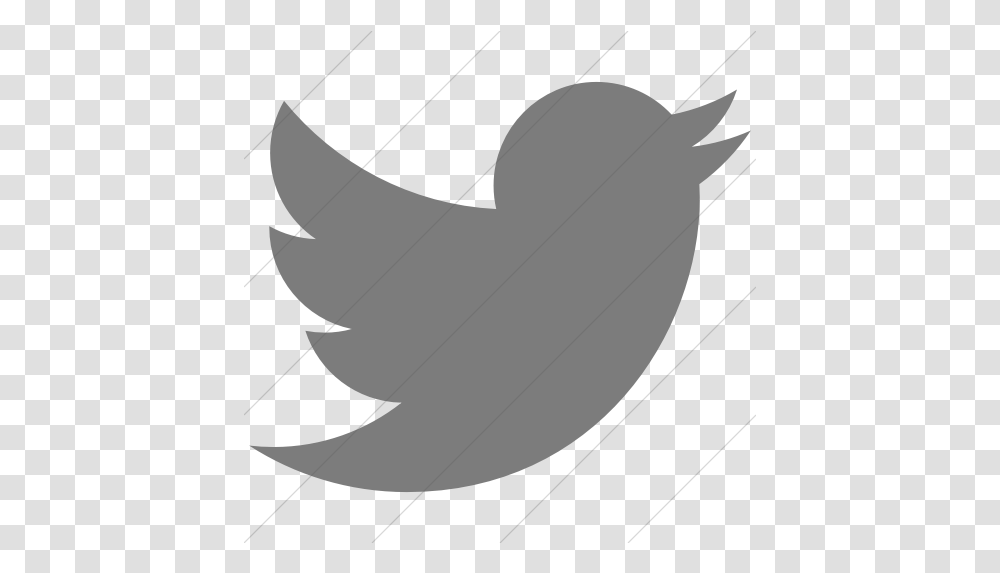 Dark Twitter Logo Twitter Icon, Leaf, Plant, Tree, Animal Transparent Png