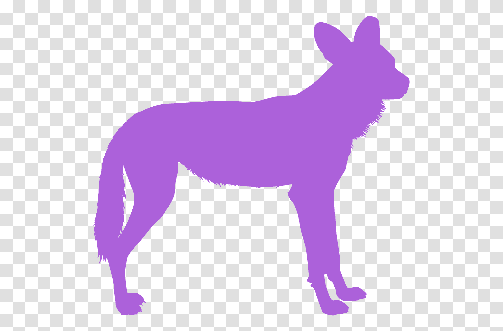 Dark Wild Dog Art, Mammal, Animal, Coyote, Person Transparent Png