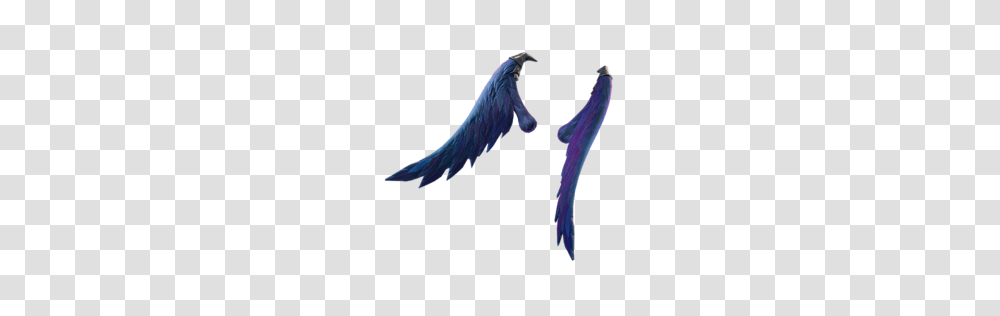 Dark Wings, Animal, Bird, Flying Transparent Png