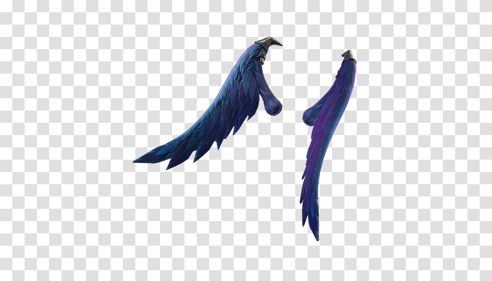 Dark Wings, Bird, Animal, Flying Transparent Png