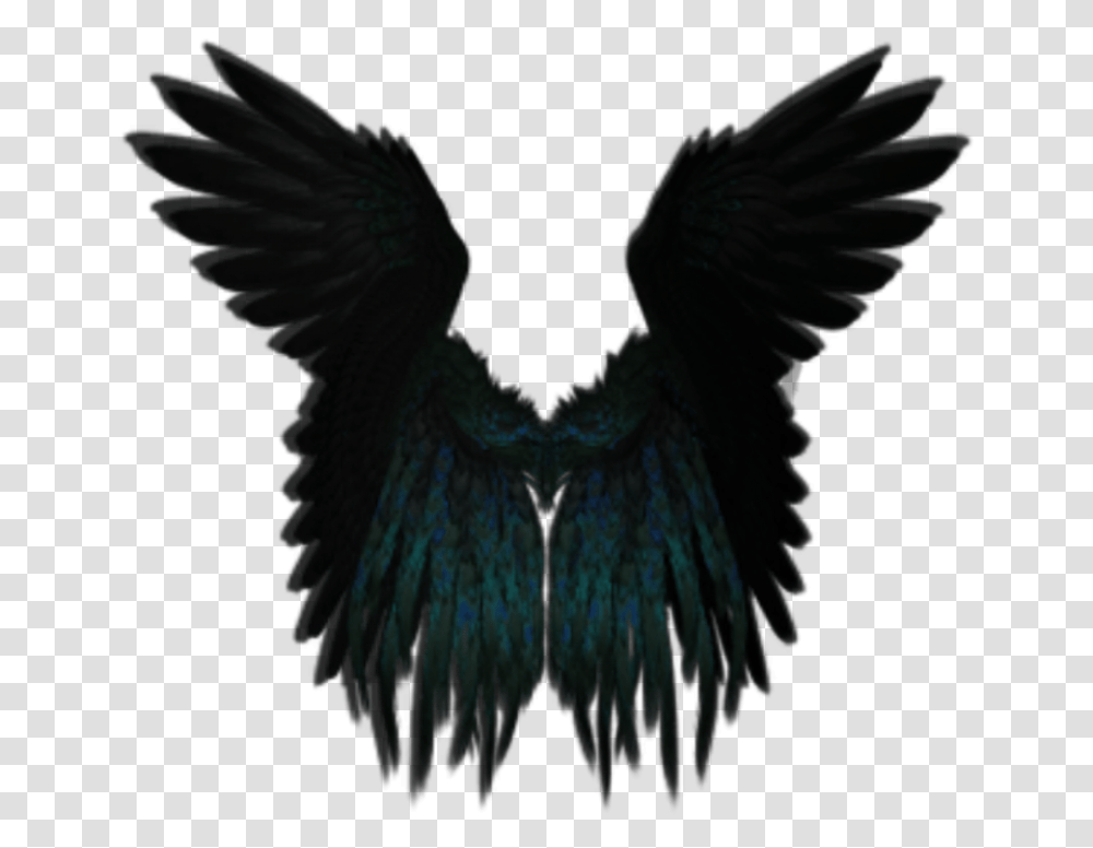 Darkangel Angelwings Angels Angel Wings Feathers Black Angel Wing, Bird, Animal, Ornament, Pattern Transparent Png