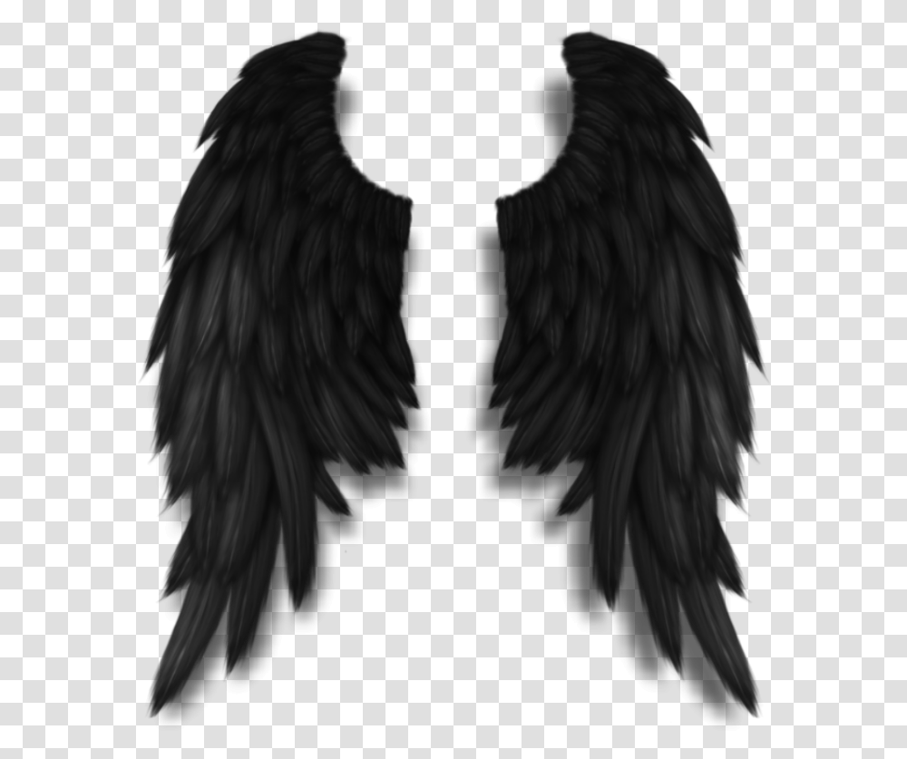 Darkangel Angelwings Angels Angel Wings Feathers Fly Angel Black Wings, Person, Human Transparent Png