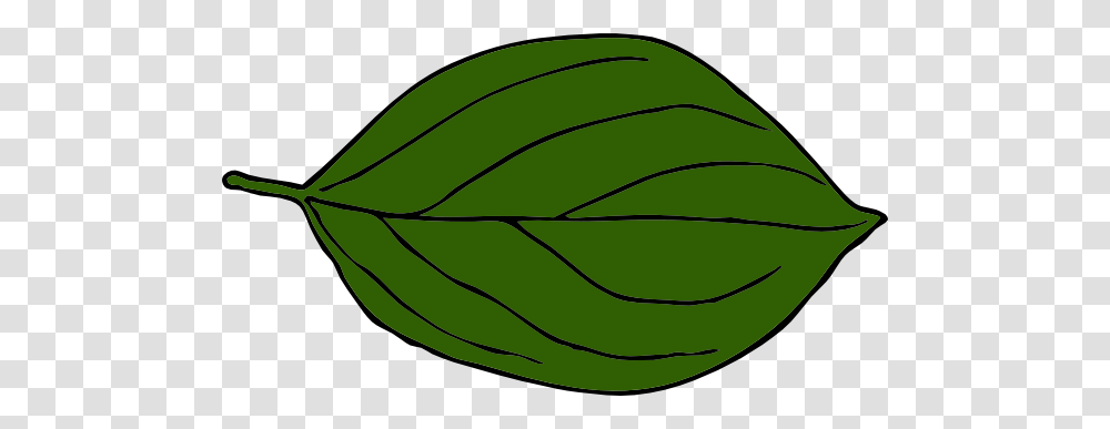 Darker Green Oval Leaf Clip Art, Plant, Potted Plant, Vase, Jar Transparent Png