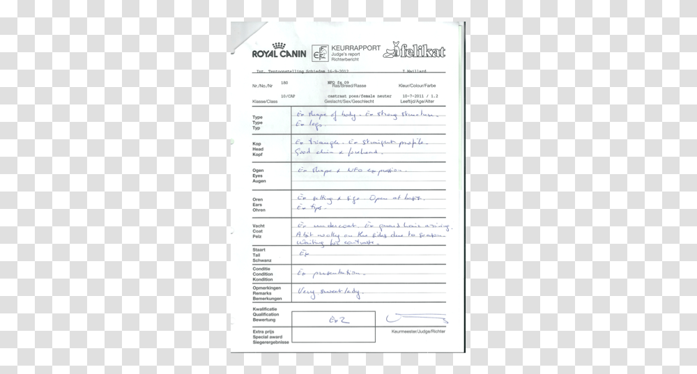 Darkness, Document, Page, Handwriting Transparent Png