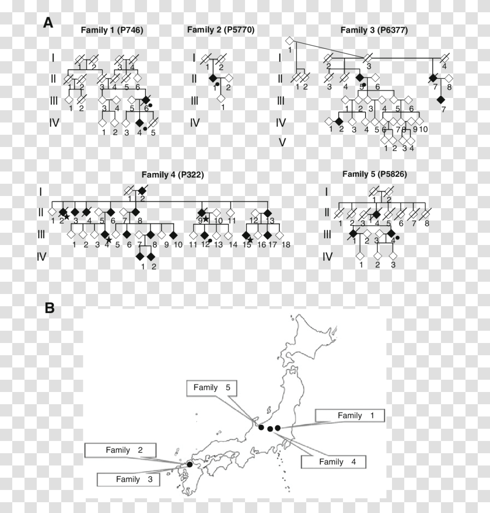 Darkness, Plot, Word, Diagram Transparent Png