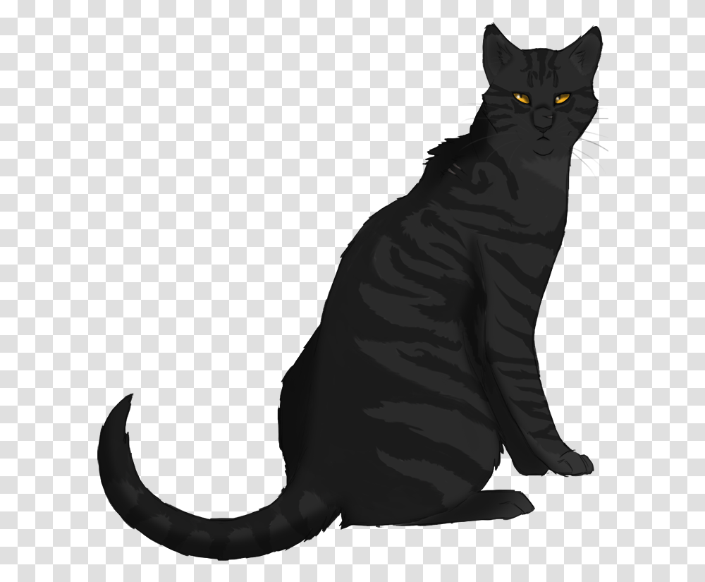 Darkstripe From Warrior Cats, Pet, Mammal, Animal, Black Cat Transparent Png