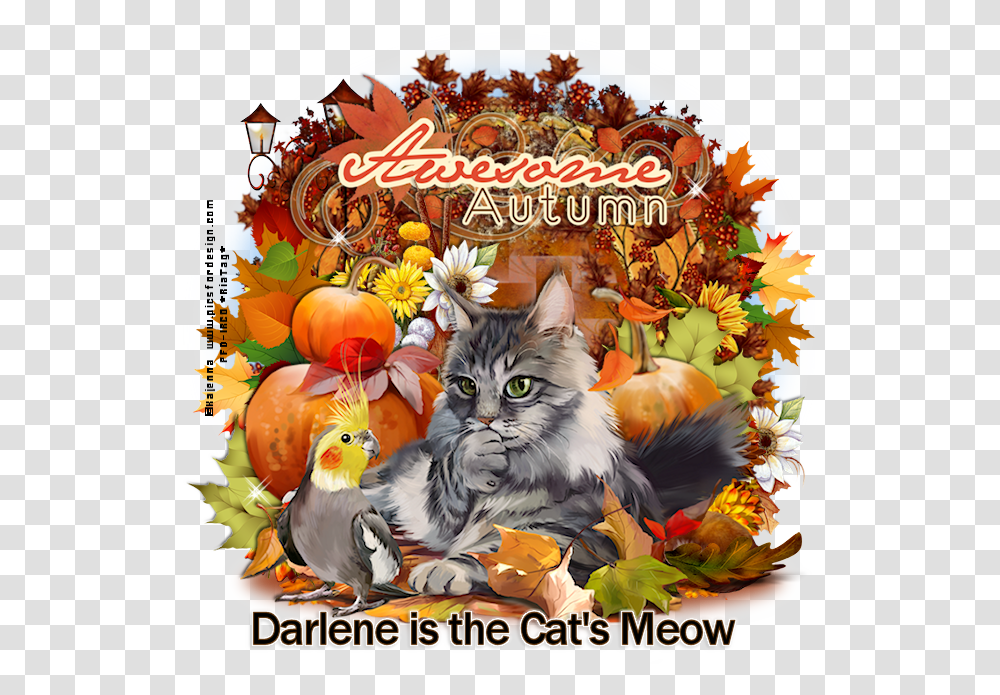 Darlene Is The Cat's Meow Co Thanksgiving, Poster, Advertisement, Flyer, Paper Transparent Png