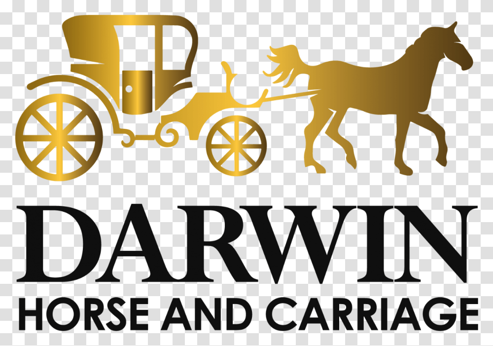 Darling Hair Logo, Carriage, Vehicle, Transportation, Poster Transparent Png