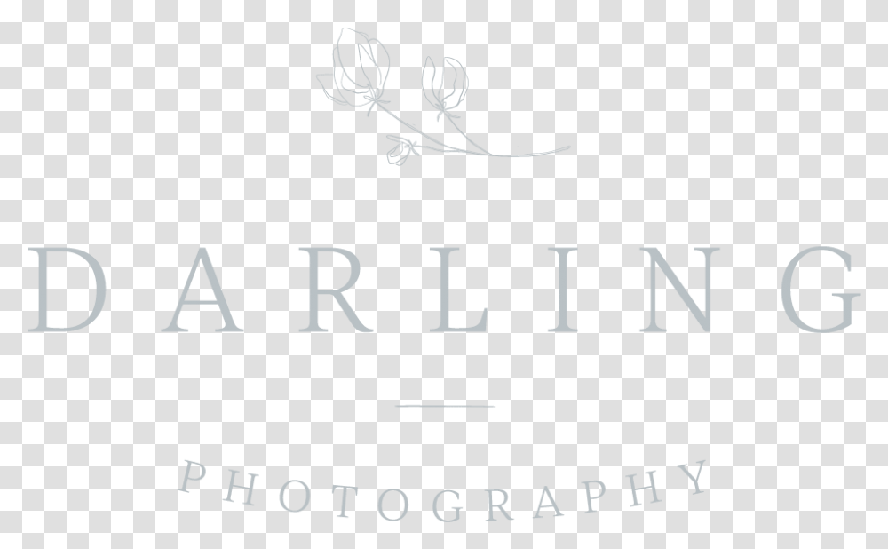 Darling Photography, Alphabet, Label, Liquor Transparent Png