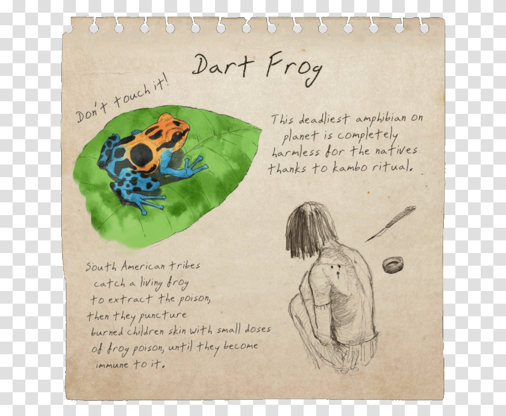Dart Frog Notebook, Person, Envelope, Mail Transparent Png