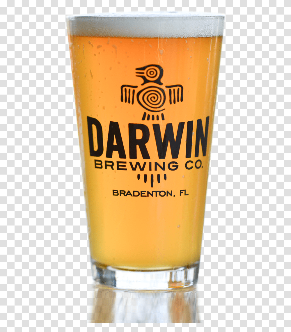 Darwin Brewing Company Willibecher, Beer, Alcohol, Beverage, Drink Transparent Png