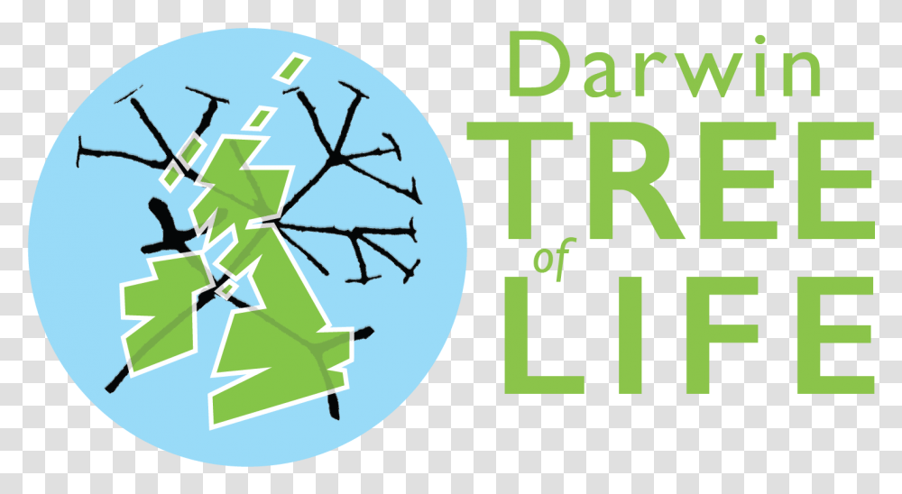 Darwin Tree Of Life Project Darwin Tree Of Life Project, Number, Symbol, Text, Bird Transparent Png