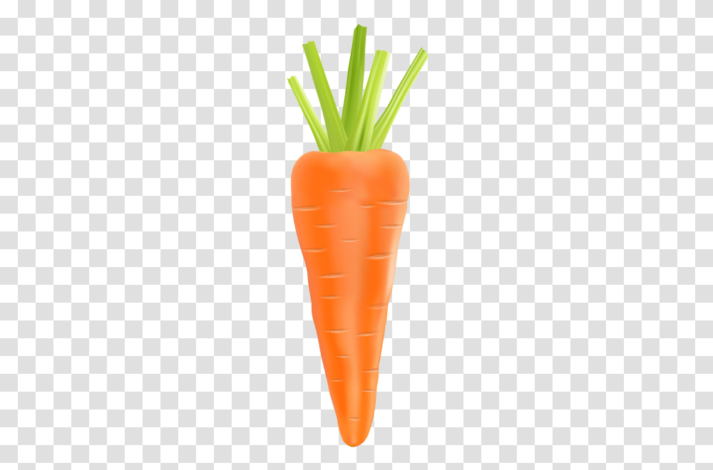 Darzeni Clip Art Art And Art, Carrot, Vegetable, Plant, Food Transparent Png