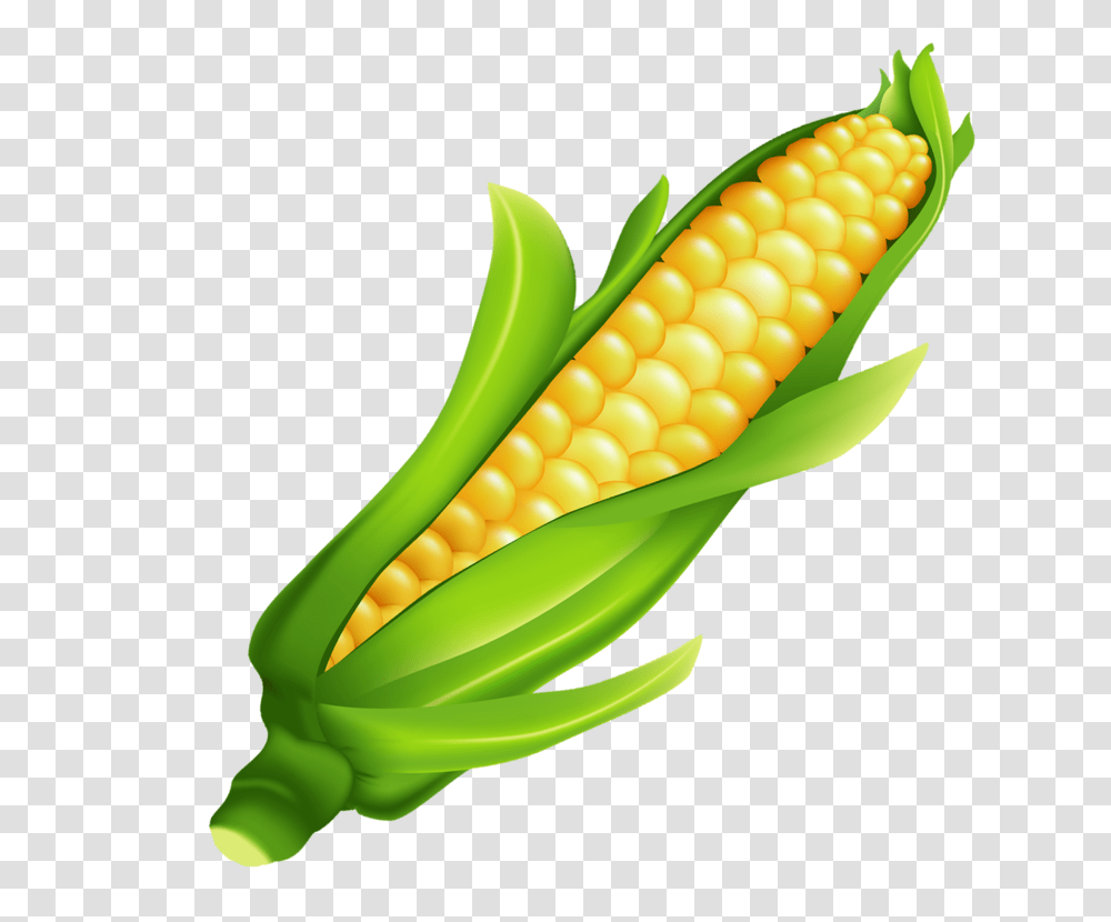 Darzeni Fruit Vegetables, Plant, Banana, Food, Corn Transparent Png