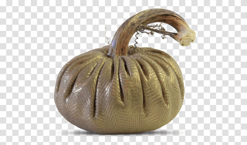Data Image Id Productimg Product Pumpkin, Plant, Produce, Food, Gourd Transparent Png