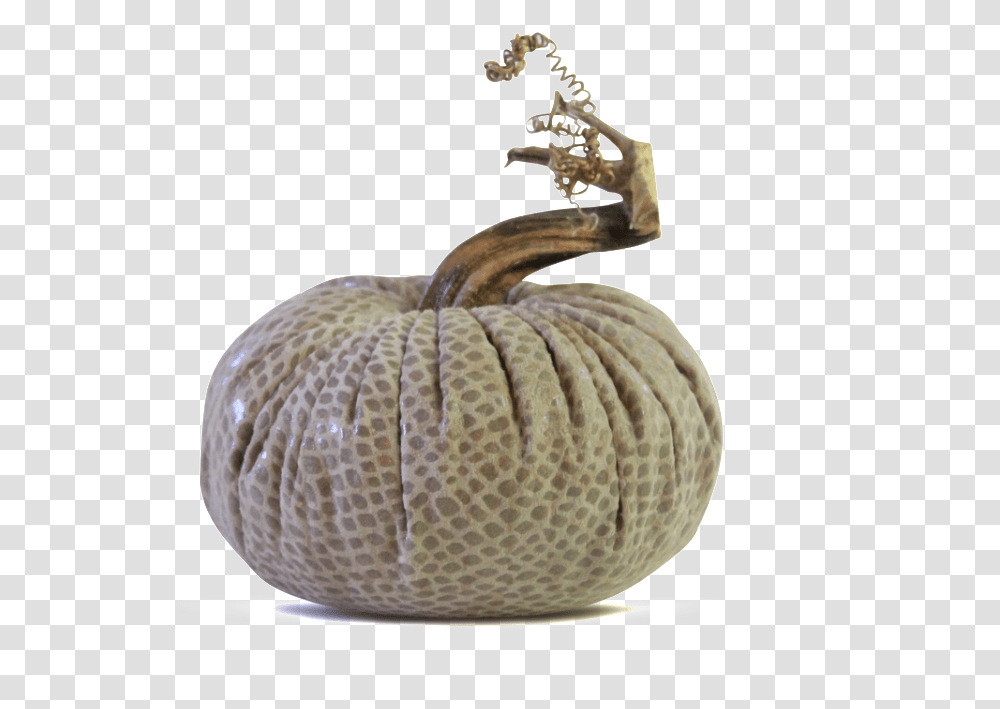 Data Image Id Productimg Product Pumpkin, Plant, Produce, Food, Vegetable Transparent Png