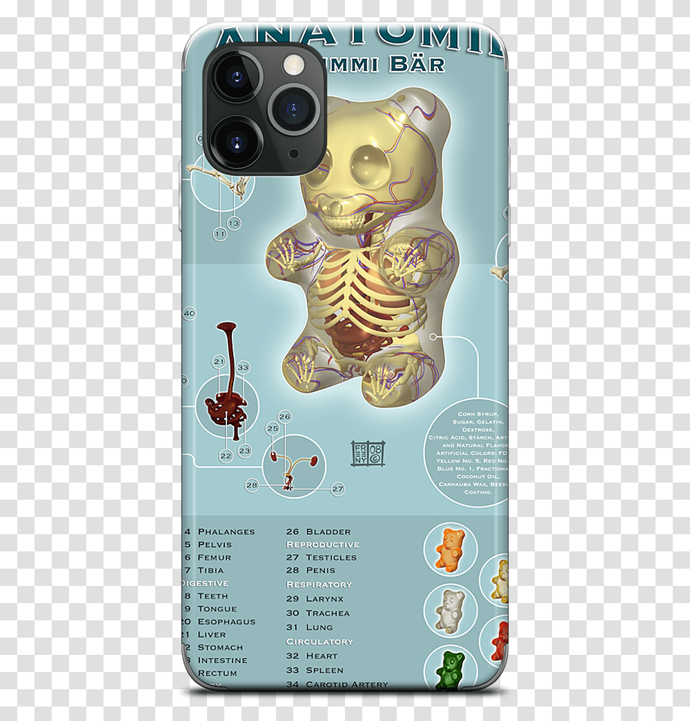 Data Mfp Src Cdn Anatomy Gummy Bear Jason Freeny, Advertisement, Poster, Plot, Camera Transparent Png