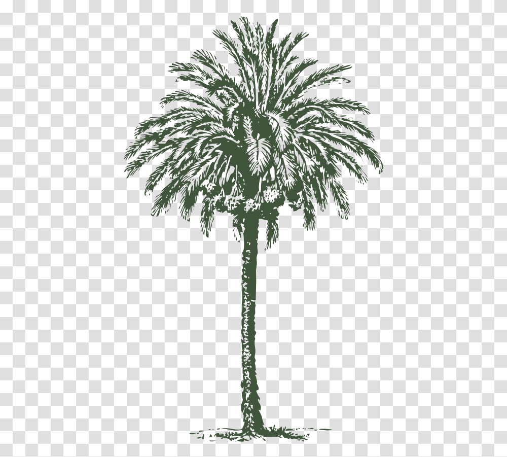 Date Palm Clipart I2clipart Royalty Free Public Domain Arabian Palm Tree Vector, Plant, Arecaceae, Cross, Symbol Transparent Png