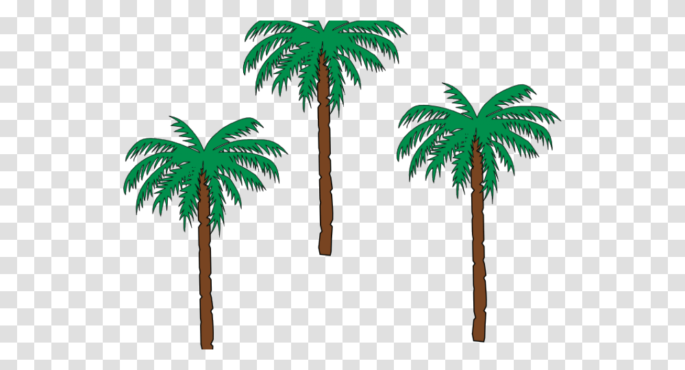 Date Palm Clipart Pom Tree Small Palm Trees Clipart, Plant, Arecaceae, Vegetation, Green Transparent Png