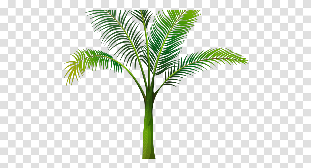 Date Palm Clipart Tropical Tree, Plant, Produce, Food, Leek Transparent Png