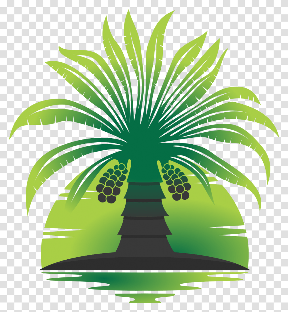 Date Palm Media Illustration, Plant, Tree Transparent Png
