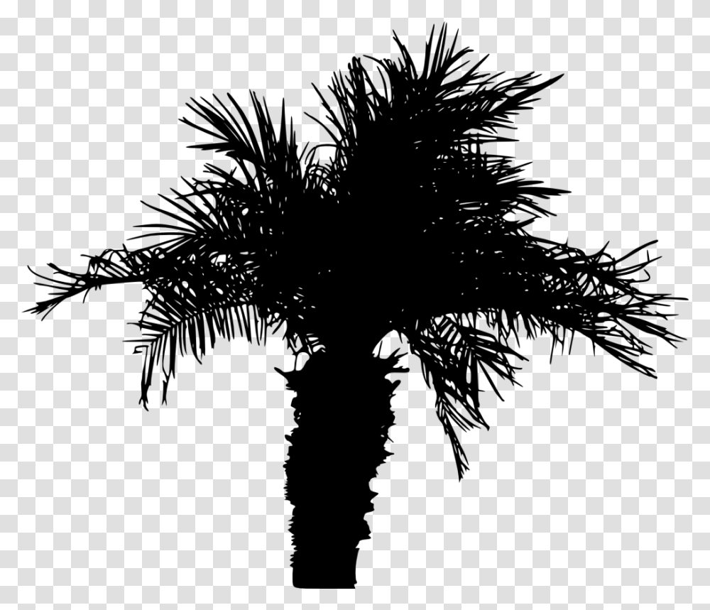Date Palm Tree Silhouette, Gray, World Of Warcraft Transparent Png