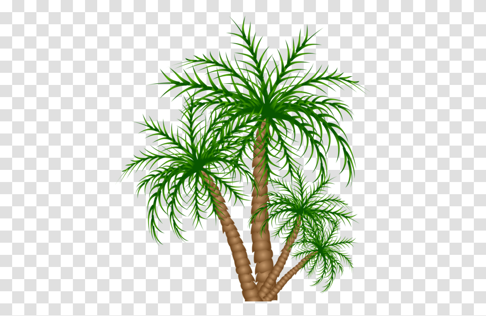 Date Tree Clipart, Plant, Palm Tree, Arecaceae, Conifer Transparent Png