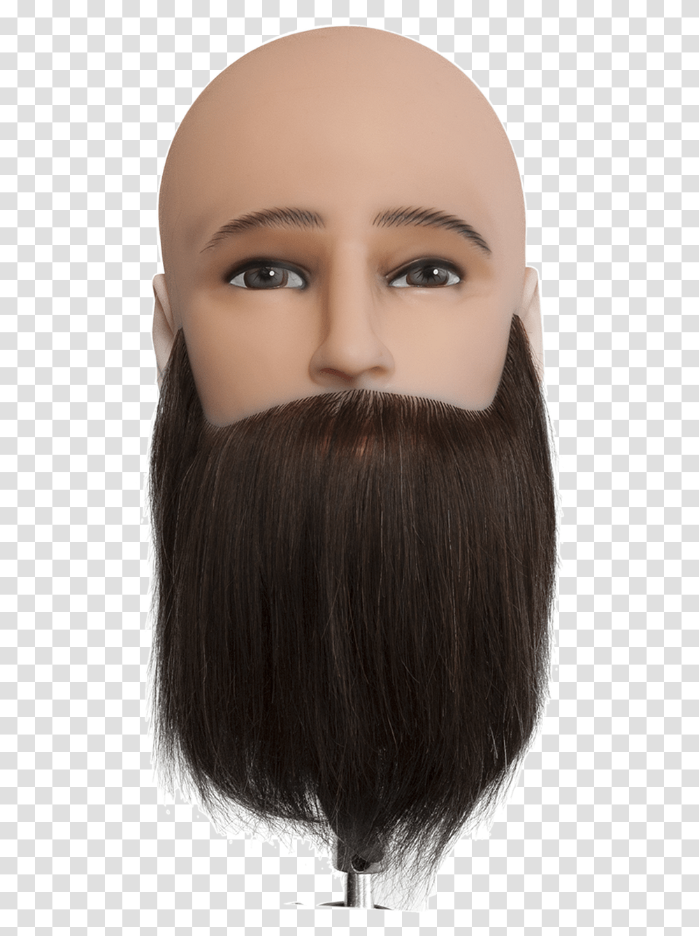 Dateline Professional Mannequin Bald Head Bearded Wig, Doll, Toy, Person, Human Transparent Png