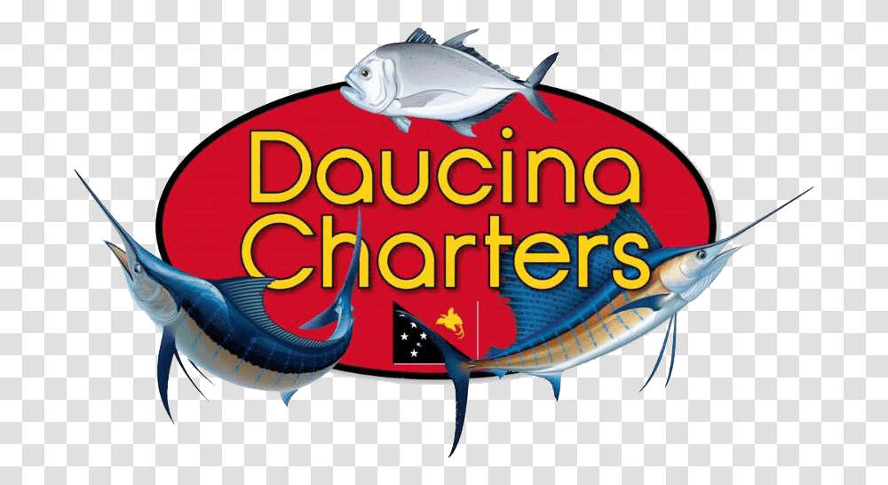 Daucina Charters, Animal, Sea Life, Fish, Surgeonfish Transparent Png