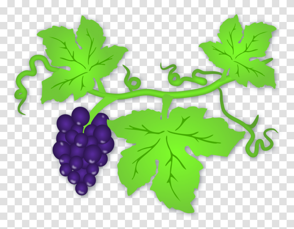Daun Anggur Vector Clip Art Grapes Leaf, Plant, Fruit, Food, Vine Transparent Png