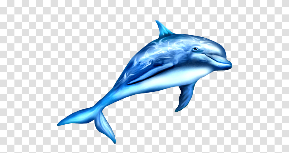 Dauphin, Dolphin, Mammal, Sea Life, Animal Transparent Png