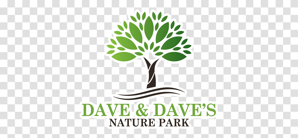 Dave & Dave's Costa Rica Nature Park A Terrific Tree Graphic Purple, Plant, Flower, Bonsai, Potted Plant Transparent Png