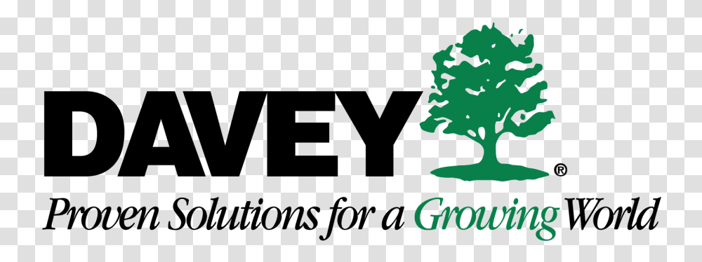 Davey Tree Service, Plant, Plot, Diagram Transparent Png