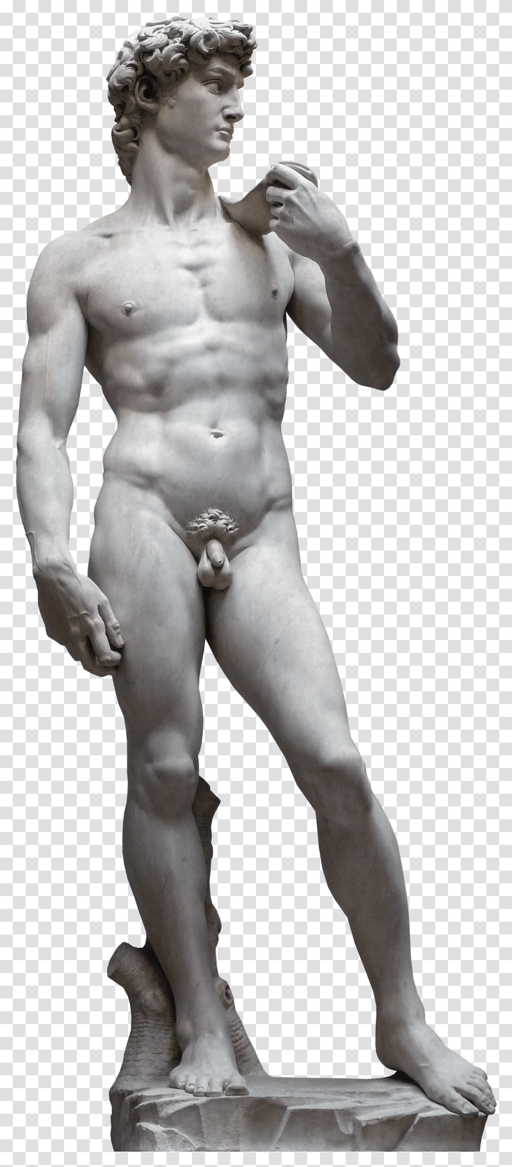 David Statue Accademia Di Belle Arti Firenze David Statue, Person, Human, Torso, Sculpture Transparent Png