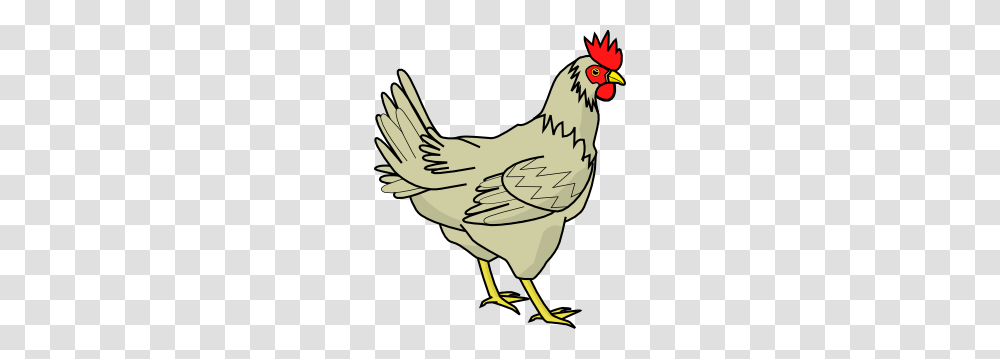 Davidone Chicken Clip Art For A Chicken Pot Pie Kindergarten, Poultry, Fowl, Bird, Animal Transparent Png
