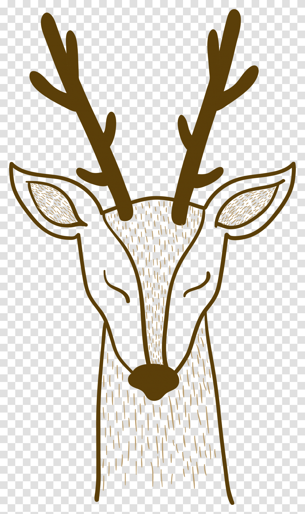 Davids Deer Sika Deer Sika Deer, Mammal, Animal, Wildlife, Bow Transparent Png