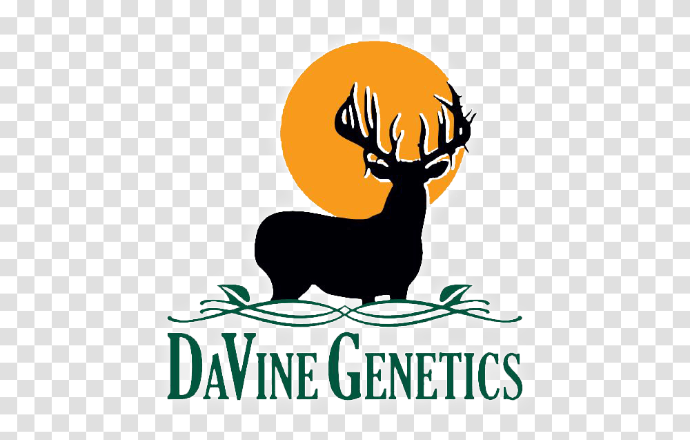 Davine Genetics 2020 Web Logo Elk, Deer, Wildlife, Mammal, Animal Transparent Png