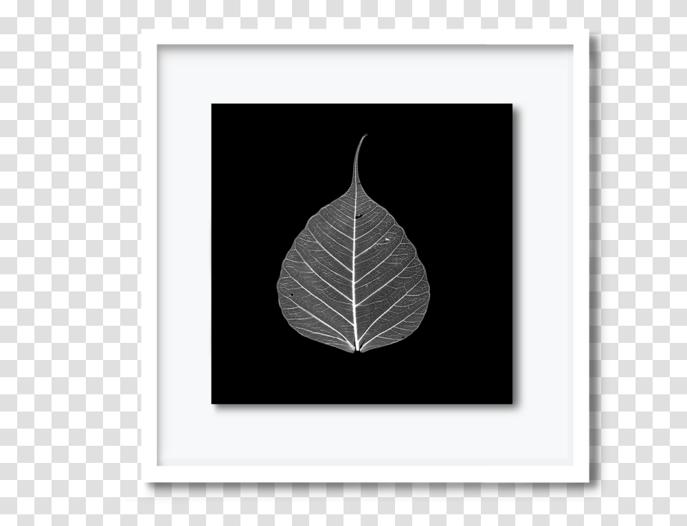 Davpearce Leaf, Plant, Silhouette, Wood, Rug Transparent Png