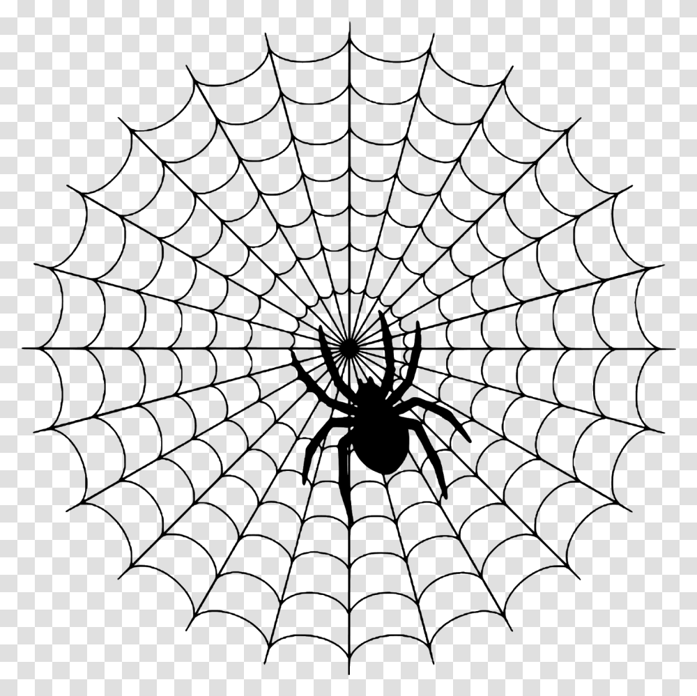 Day A Simple Web Spider On A Web, Gray, World Of Warcraft Transparent Png