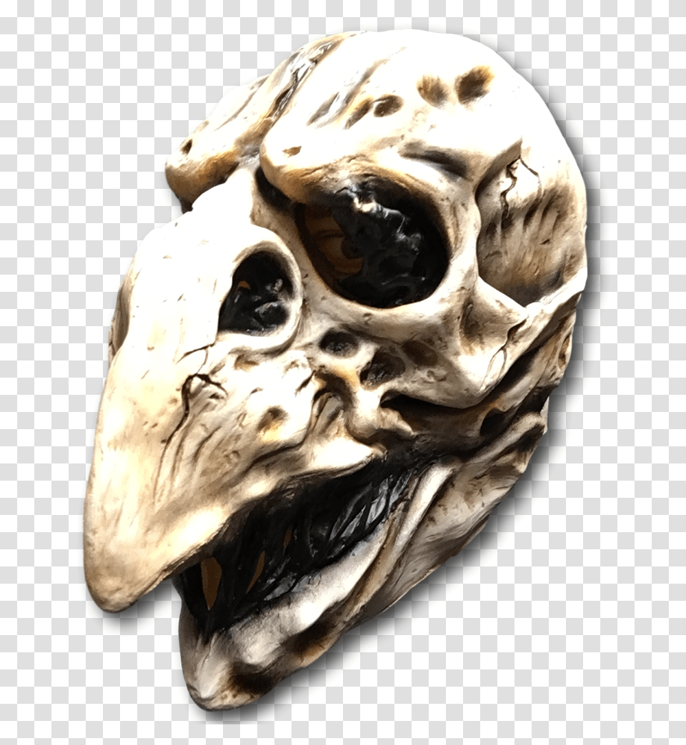 Day Of The Dead Bird Mask, Animal, Head, Fossil, Alien Transparent Png