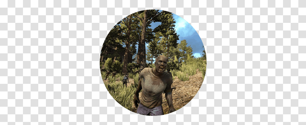 Days To Die Server Hosting Forest Video Game Age Rating, Fisheye, Person, Human, Photography Transparent Png